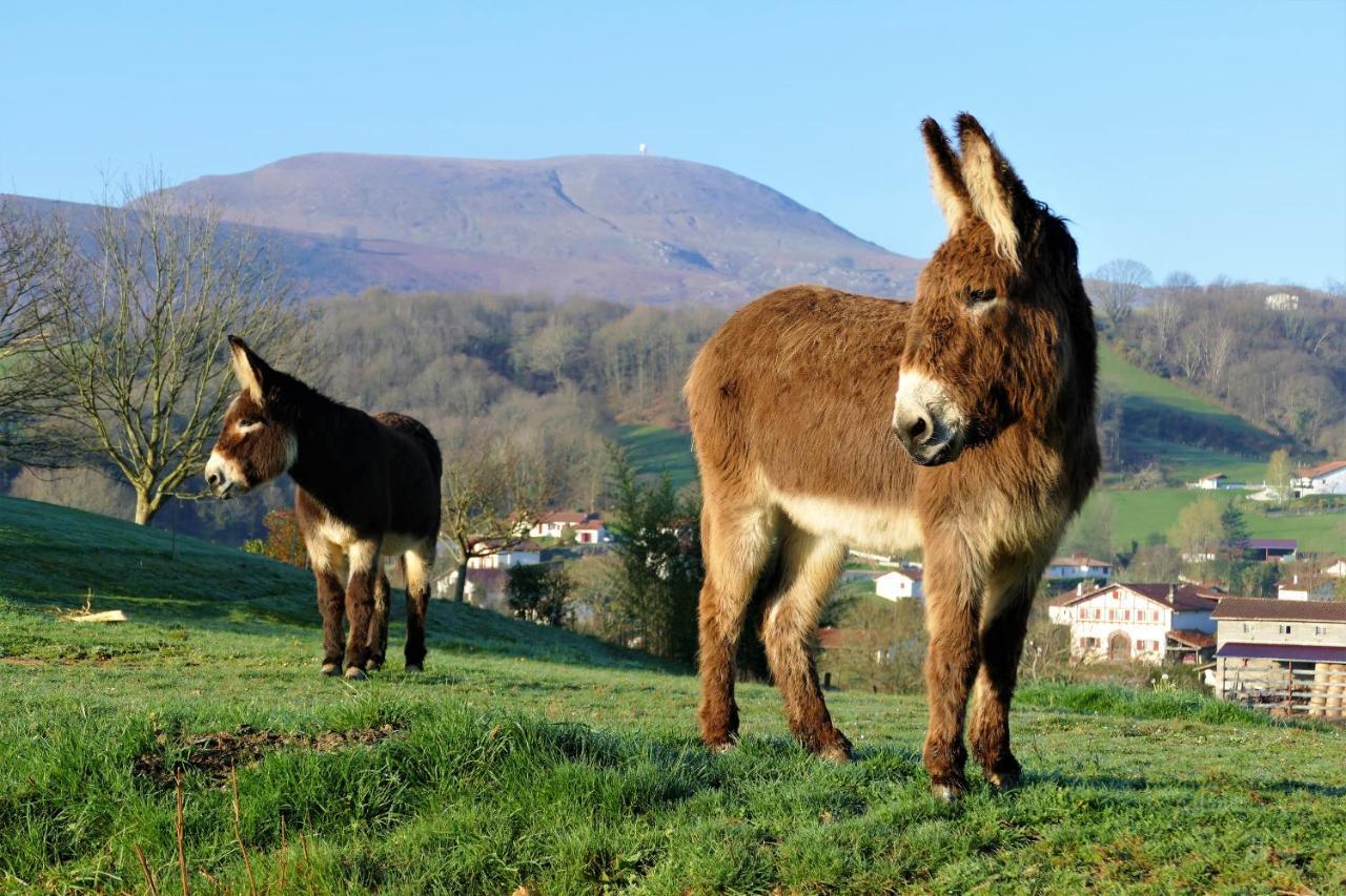 Baskoparadis I Eco-Gites I Calme I Vue I Anes I Jardin I Montagne I Nature Louhossoa Exterior photo