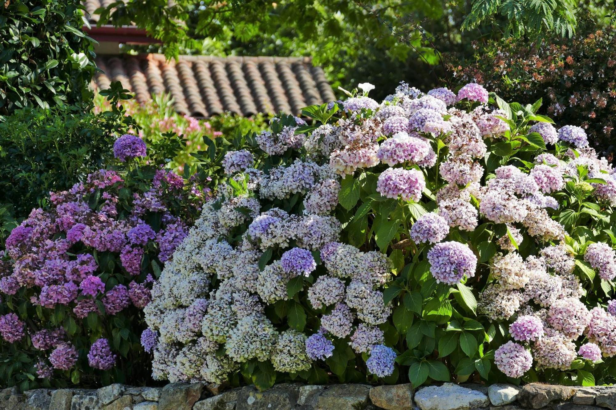 Baskoparadis I Eco-Gites I Calme I Vue I Anes I Jardin I Montagne I Nature Louhossoa Exterior photo
